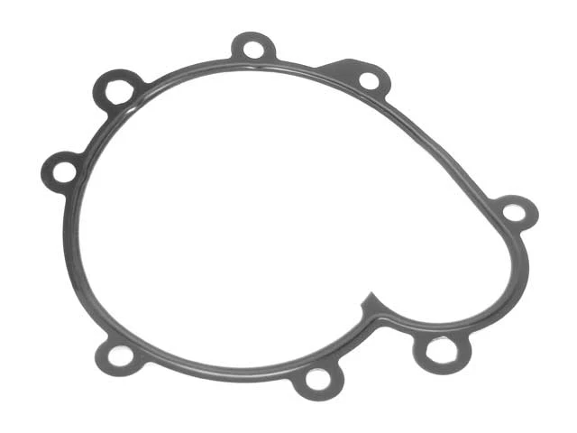 Elring Water Pump Gasket for Porsche Cayenne (2003–2006)
