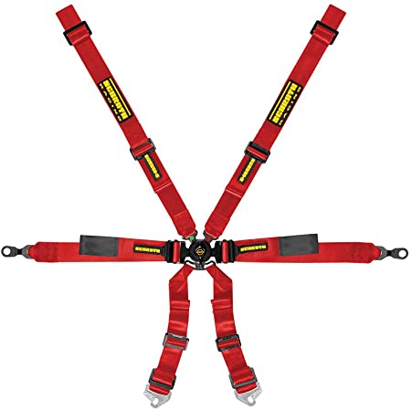 Schroth Enduro 2x2 6 Point Racing Harness |Porsche GT3/GT4 - Image 2