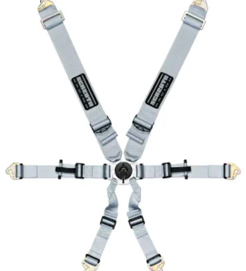 Schroth Flexi 2x2 6 Point Racing Harness - Image 4