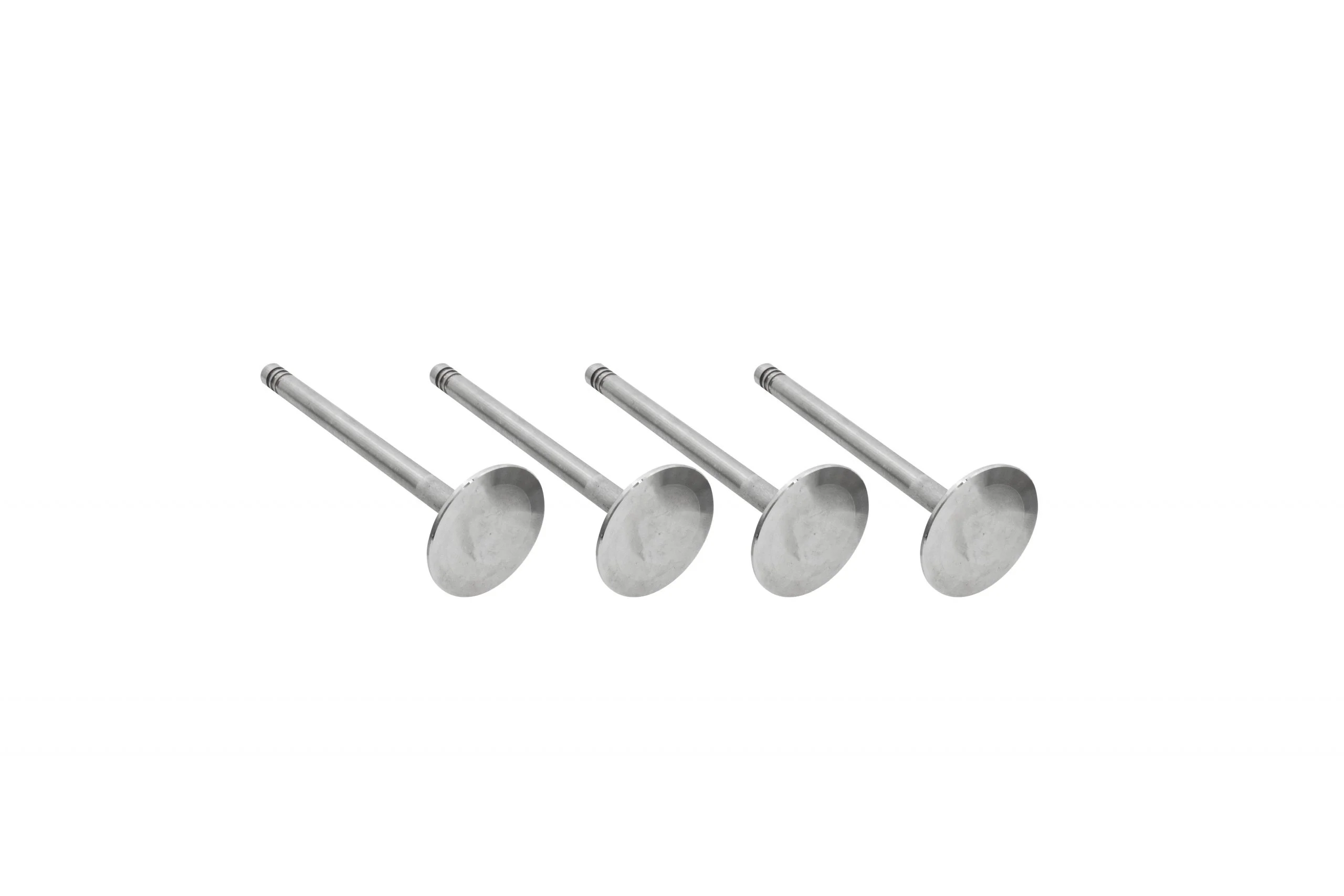 35.5mm Stainless Steel Valves, 4 pack for Type 1