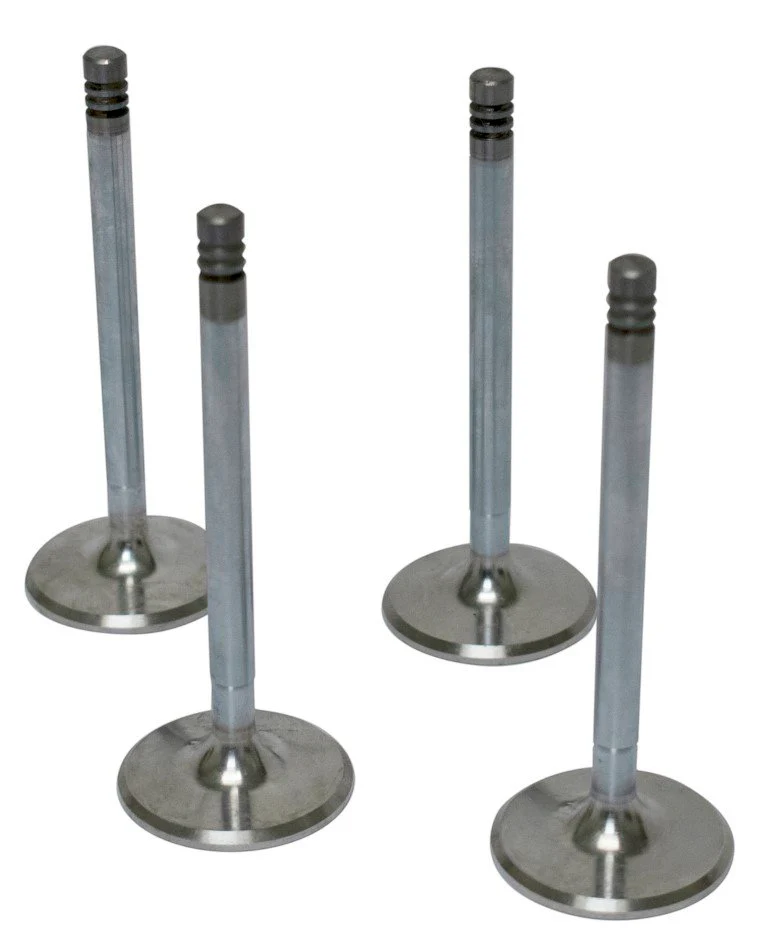 42mm Stainless Steel Valves, 4 pack for Type 1 Engines